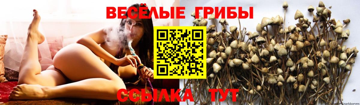 Псилоцибиновые грибы мухоморы  Вход с VPN  Чернушка  Псилоцибиновые грибы Magic Shrooms 